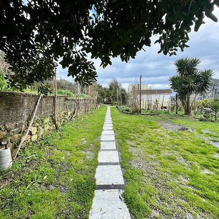 Apartment The Grape House Massa Lubrense